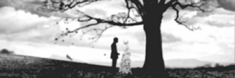 AideeeYan's profile banner image