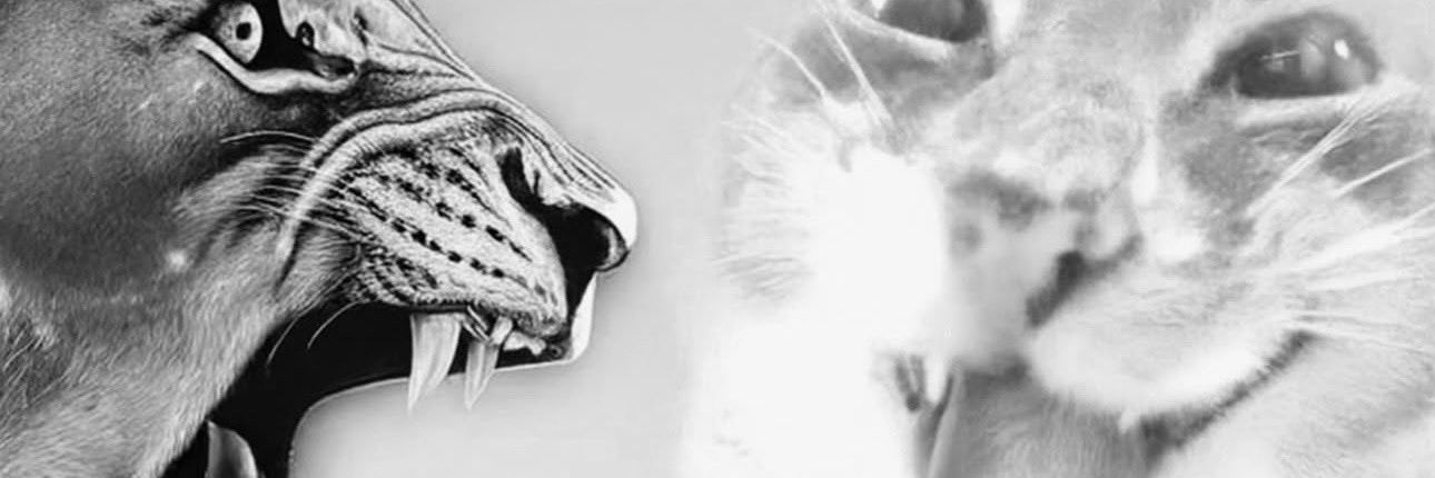 Unknown Players #33 banner