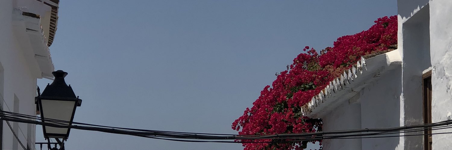 Ali 🧚🏽‍♀️ banner