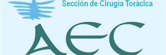 sectoracica-aec banner