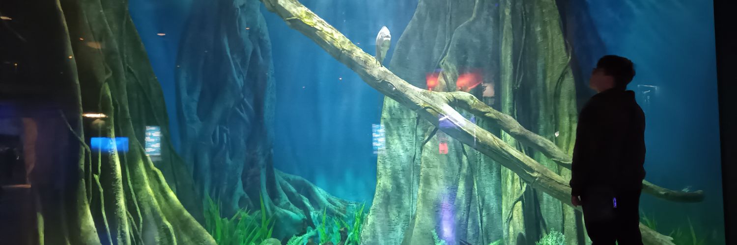 kellyscrafty's profile banner image