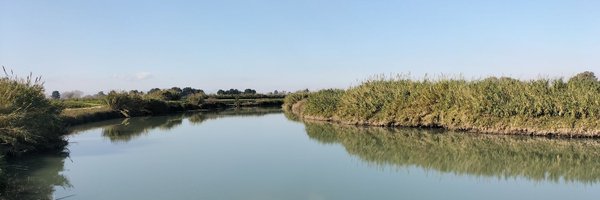 anacamps25 Profile Banner