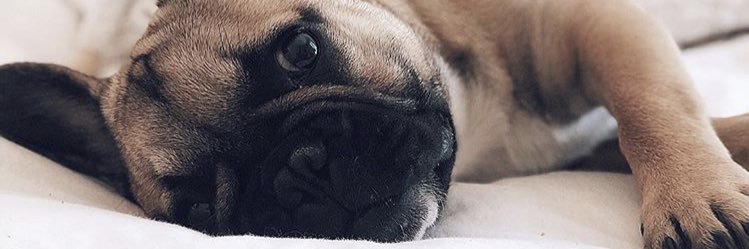 AgustinMeyerr's profile banner image