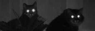 ﾑᄃ乇 banner