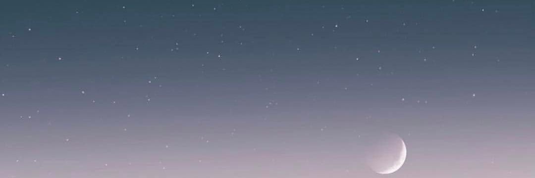 nfirstania's profile banner image