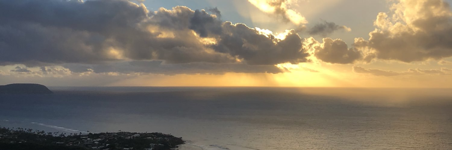 Taylor Petropoulos banner