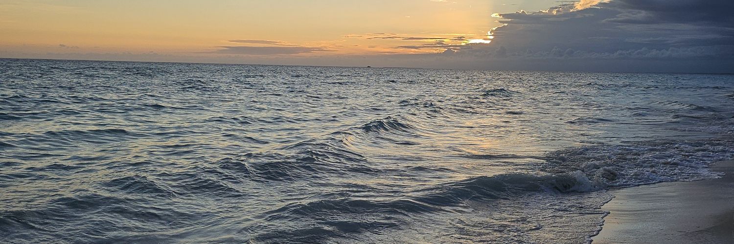 caneniveyro's profile banner image