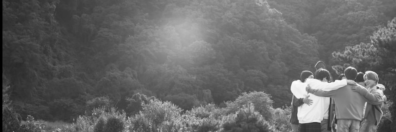 pinearev's profile banner image