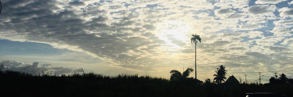 PaschalTc_'s profile banner image