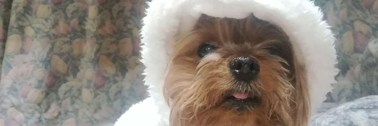mosmosmoun_'s profile banner image