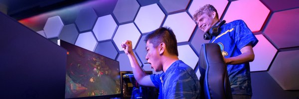 bluehenesports Profile Banner