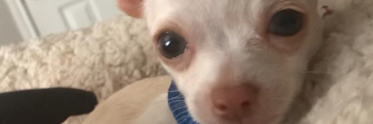 MikeVela_'s profile banner image