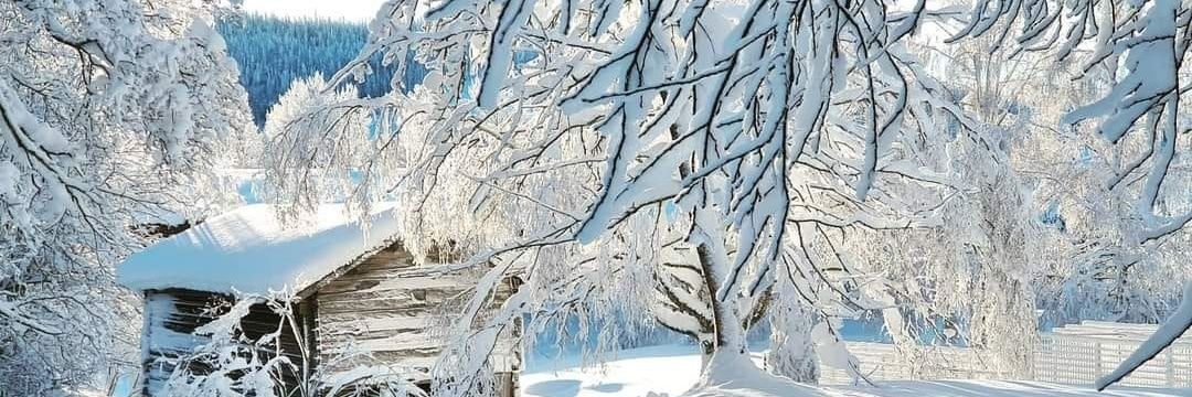 Naeem Howlader banner