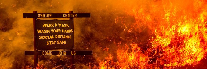 wodehousean's profile banner image
