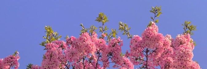 UrFavayaaa's profile banner image