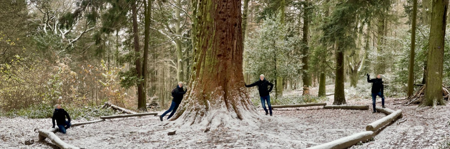 @CBasis@mastodon.social banner