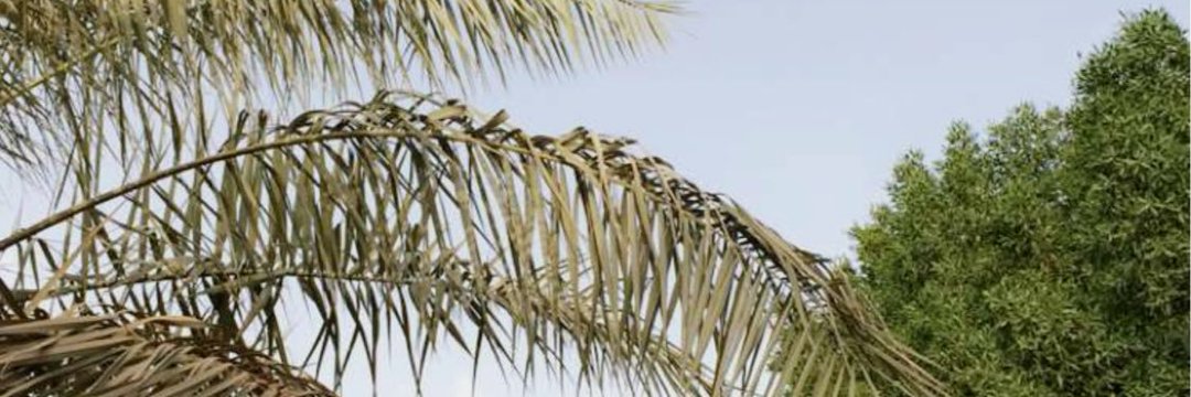 shog320's profile banner image