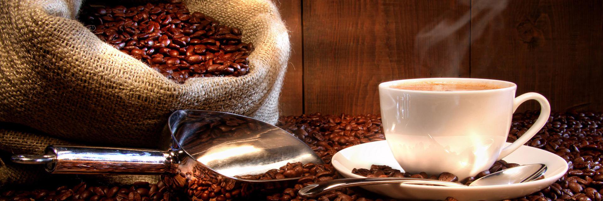 WellRoasted's profile banner image