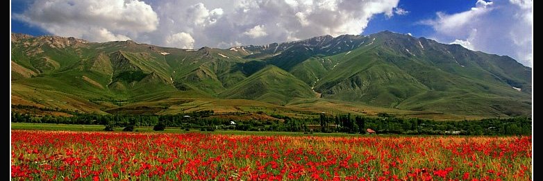 TanselParlak's profile banner image