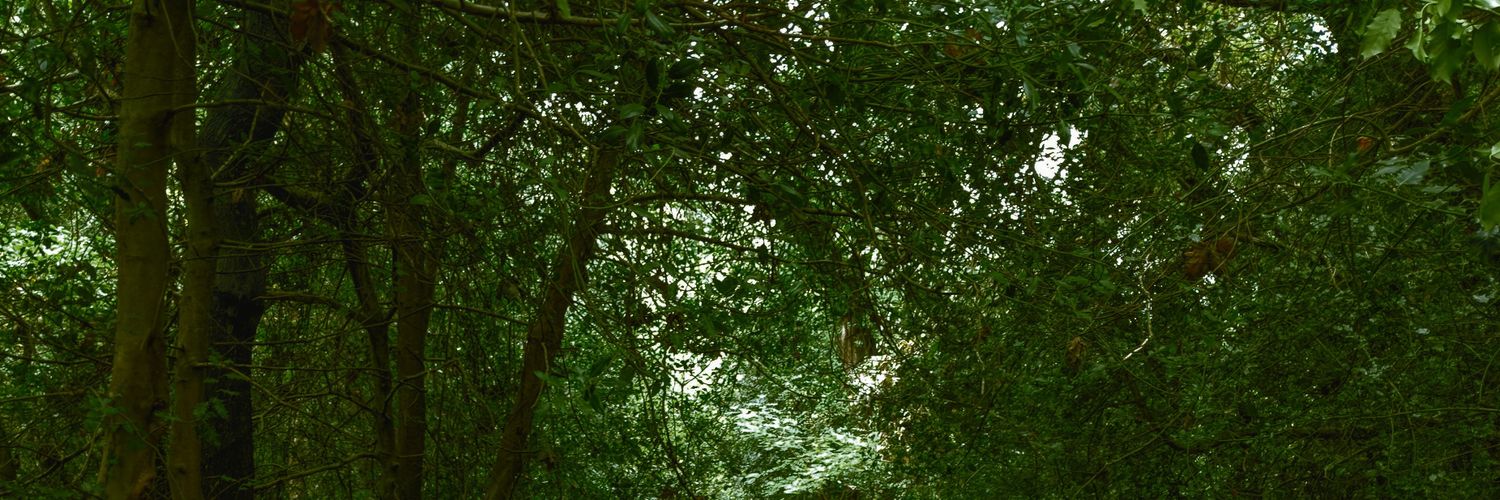 Psylnz's profile banner image