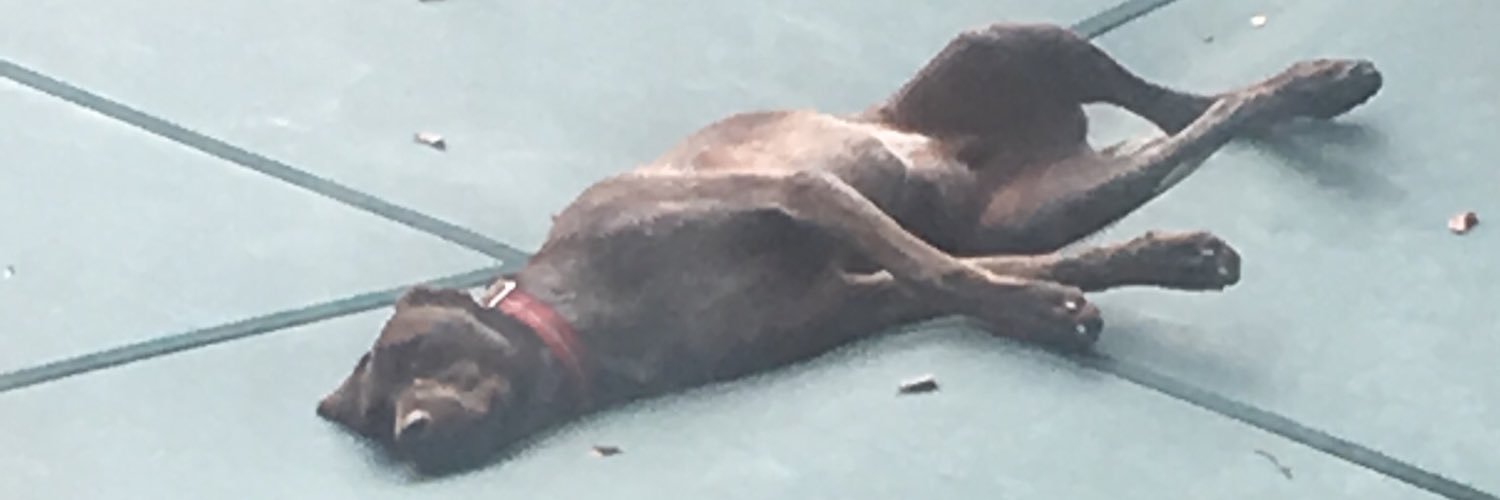 DennyNull's profile banner image