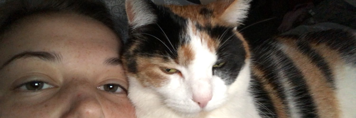 APilnock's profile banner image