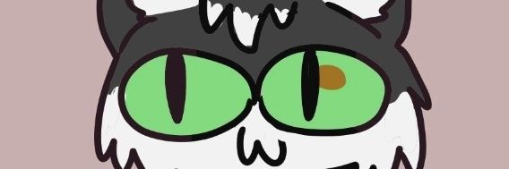 ERusboi's profile banner image