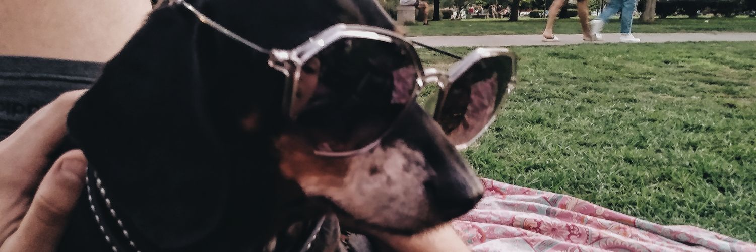 candeduarte111's profile banner image