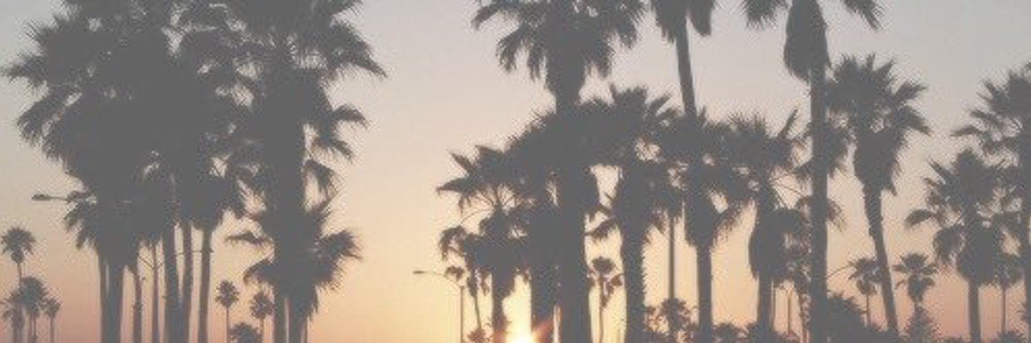 amandaroseee___'s profile banner image