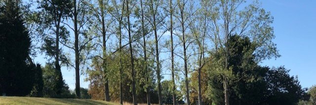 LaPerryBramleys's profile banner image