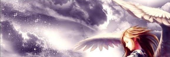elipachec9's profile banner image
