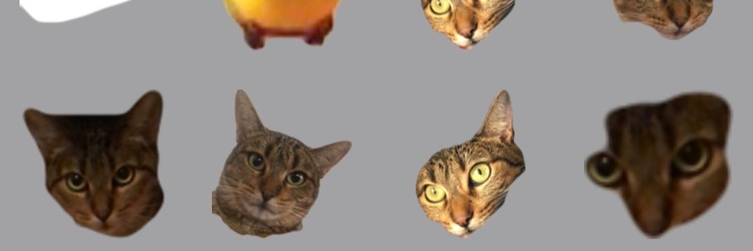 Iaeera's profile banner image