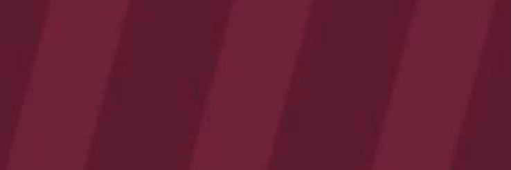 EJNPunk's profile banner image