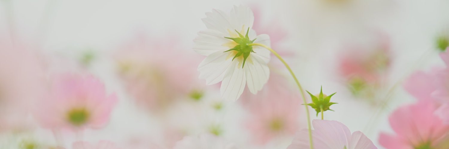 carrera18240's profile banner image