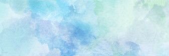 Madison Longi banner