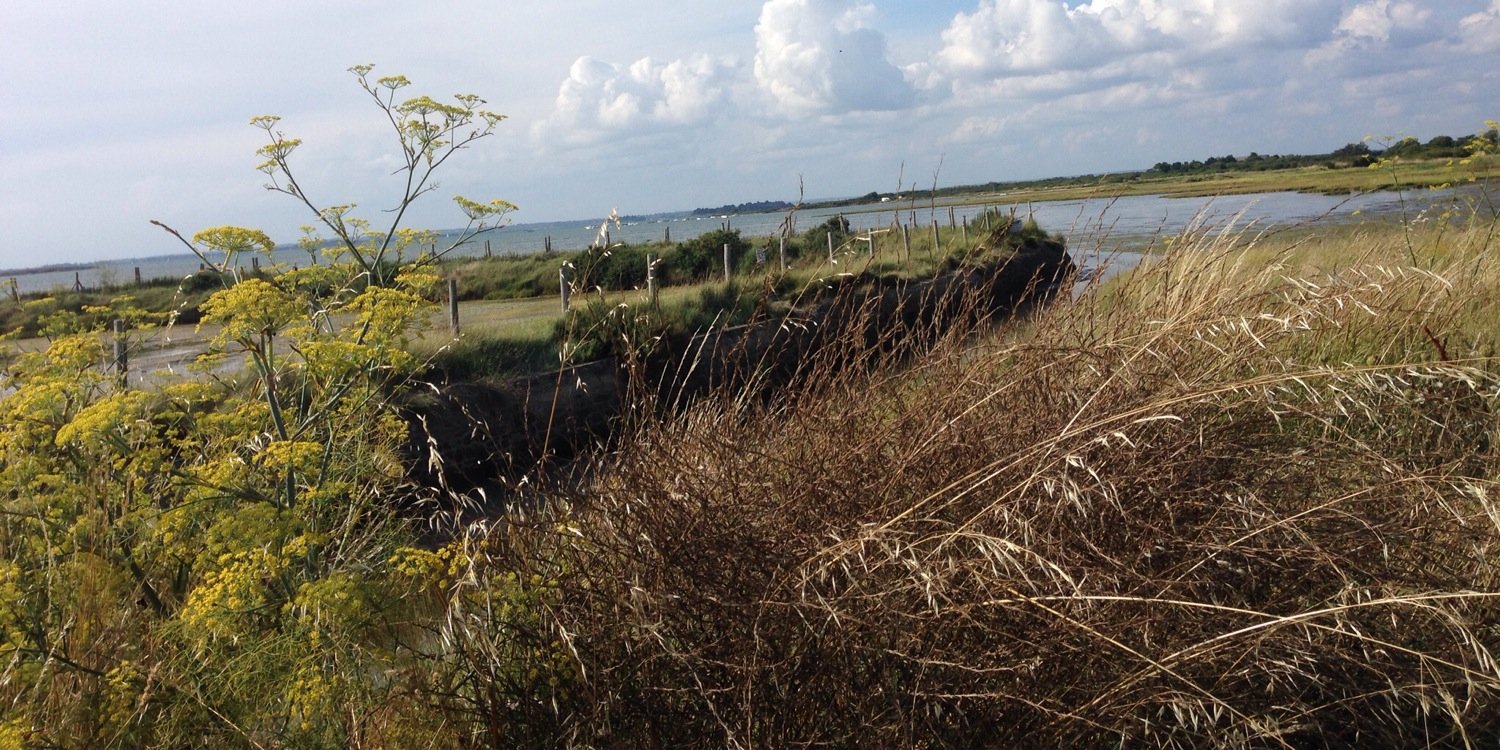 nmbr0ne matricule 1269 section 2 banner