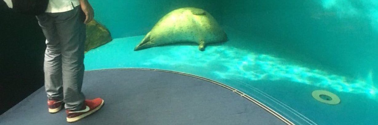 🐠ash🐠 @ FREE 🇵🇸 banner