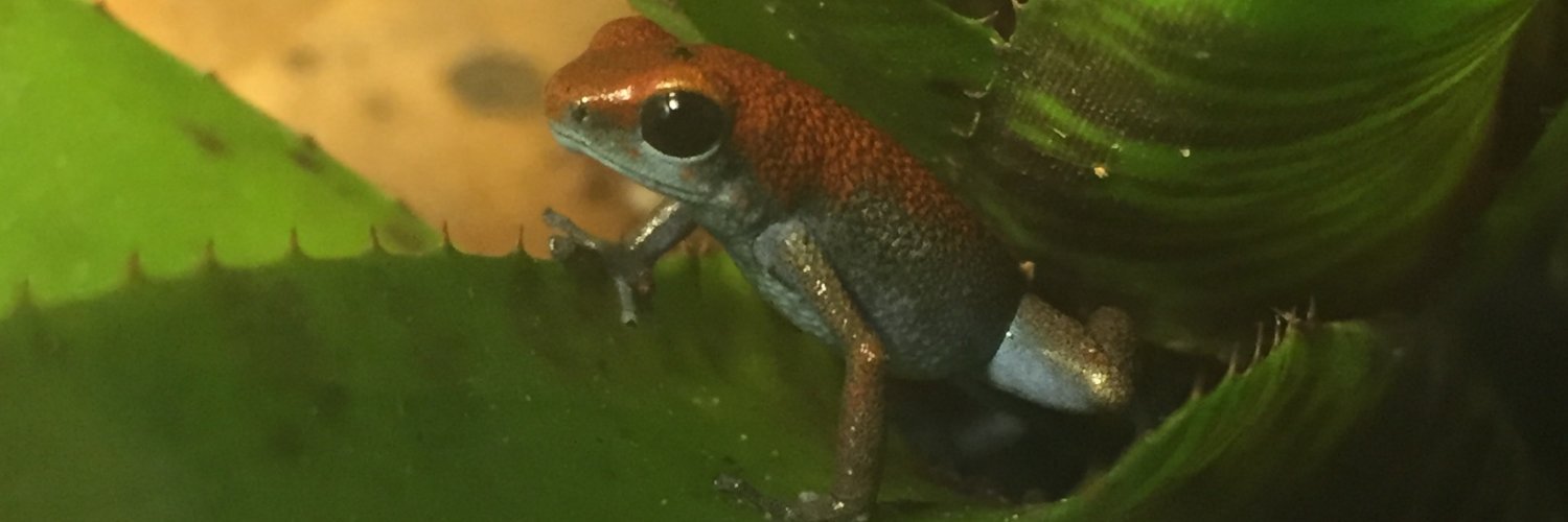 Andrew Mularo banner