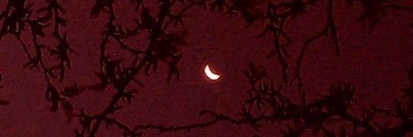 pikesrina Profile Banner