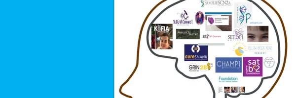 combined_brain Profile Banner