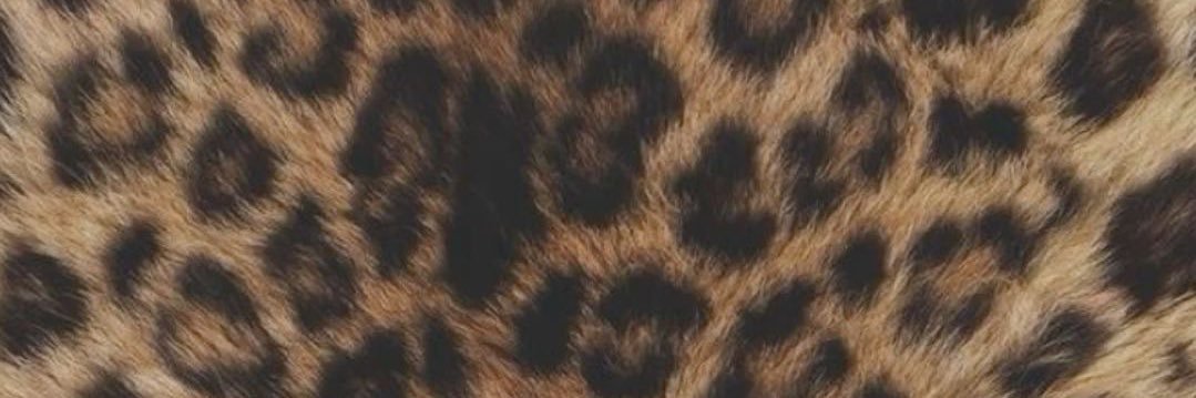 sw4glif3's profile banner image