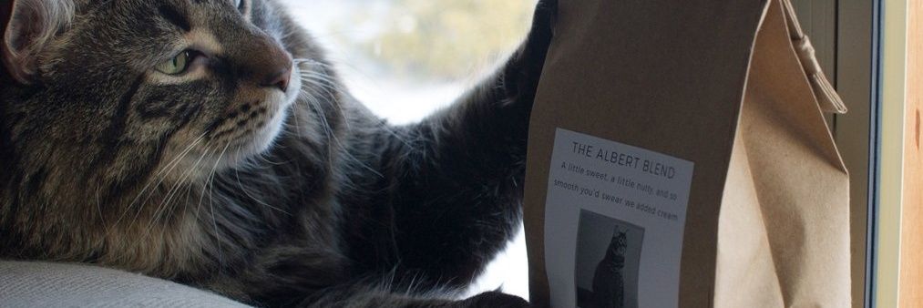 kittytowncoffee banner