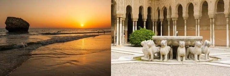 𝕬𝖓𝖆 𝕾𝖆𝖓𝖈𝖍𝖊𝖟  🆇 banner