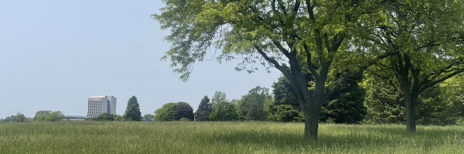 abinashpun's profile banner image