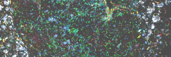 ccjinlab Profile Banner