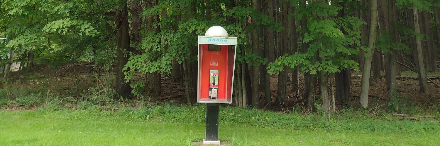 Virginia Eubanks banner