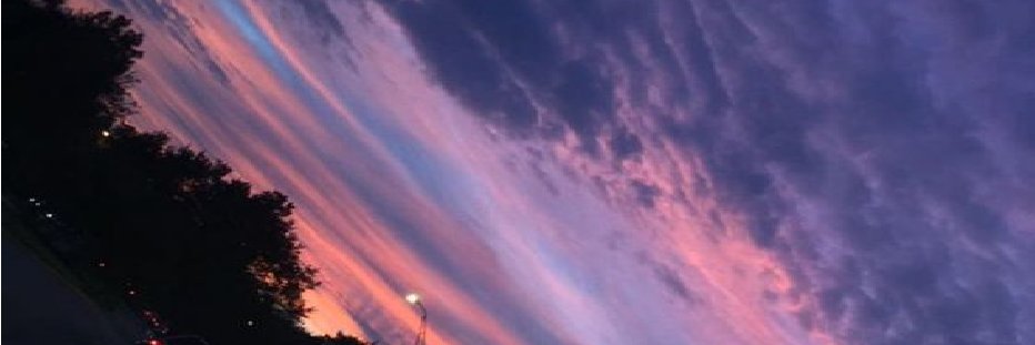 _Mjbonny_'s profile banner image