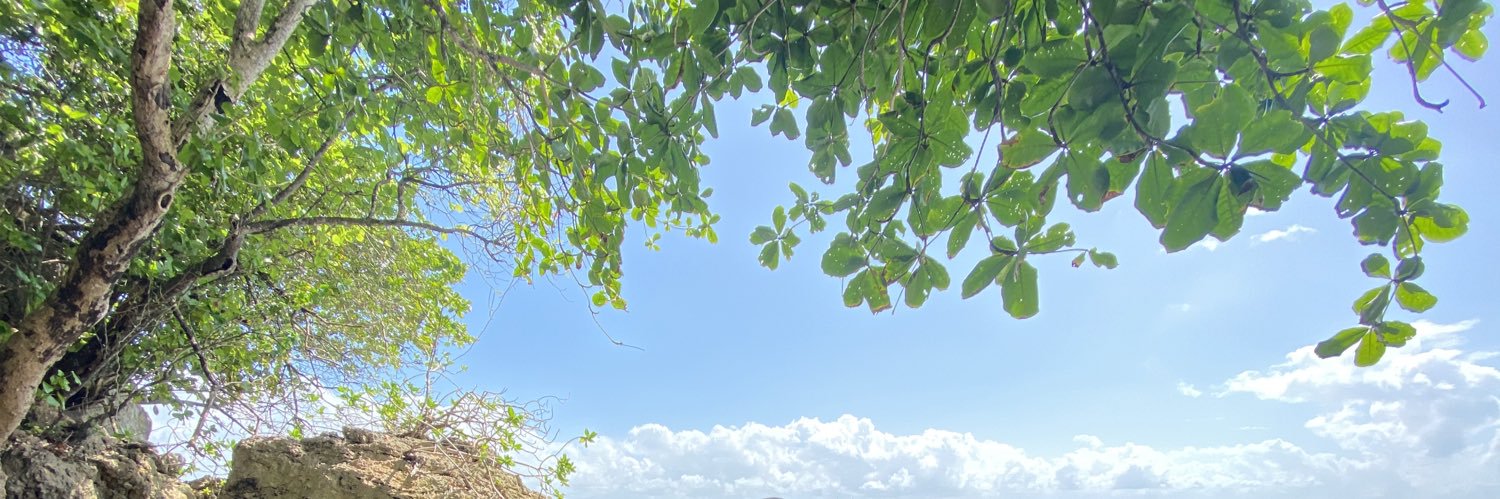 Mustika_N's profile banner image