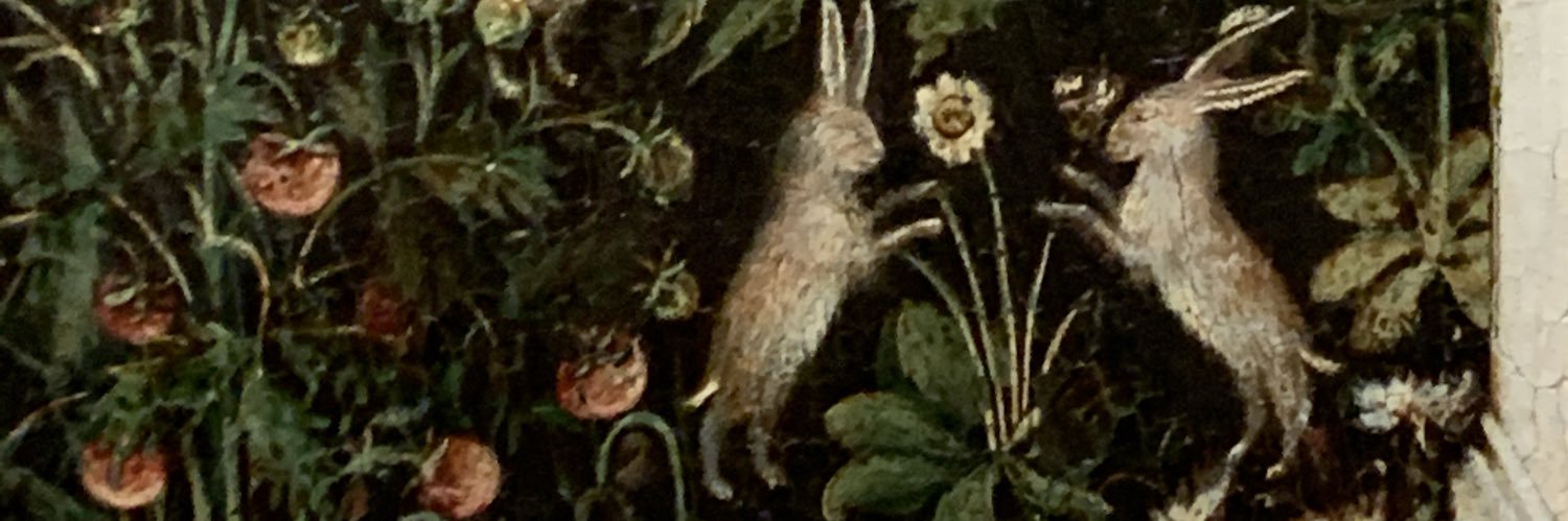 AmyGrove4's profile banner image