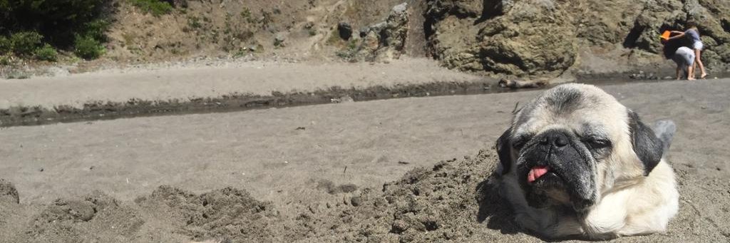 Montaigne Deux 🧪 banner